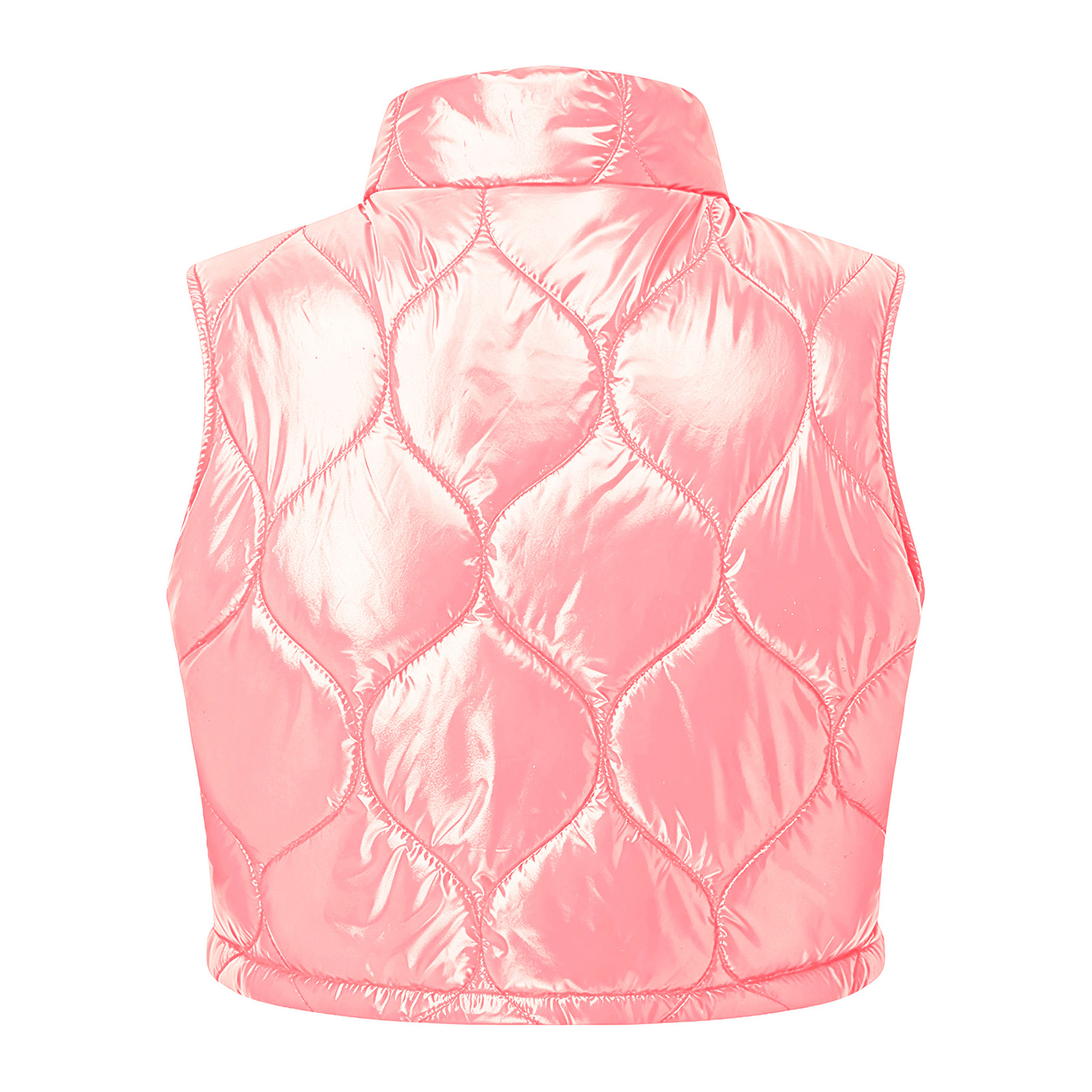 Gilet Invernale Imbottito da D - Puffer Vest Fashion Women recensione e prezzo